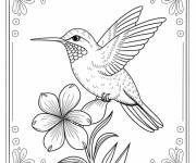 Coloriage colibri avec cadre des fleurs
