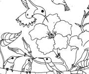 Coloriage Colibri avec d'autres type d'oiseaux