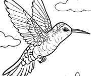 Coloriage Colibri avec des motifs de plumes complexes