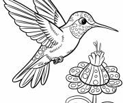 Coloriage Colibri avec ses ailes d&eacute;ploy&eacute;