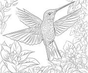 Coloriage Colibri avec trois ailes