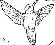 Coloriage Colibri battant des ailes dans les airs