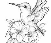 Coloriage Colibri chibi pour enfants