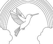 Coloriage Colibri color&eacute;
