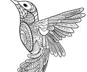 Coloriage Colibri complexe