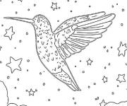 Coloriage Colibri cosmique