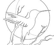 Coloriage Colibri cr&eacute;pusculaire