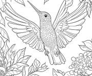 Coloriage Colibri dans la foret en vecteur