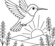Coloriage Colibri dans le champs