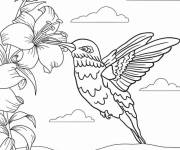 Coloriage Colibri dans les airs
