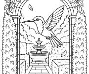 Coloriage Colibri dans un jardin magique