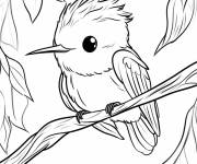 Coloriage Colibri dans une arbre