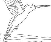 Coloriage Colibri dansant dans le ciel