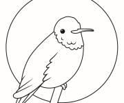 Coloriage Colibri de dessin anim&eacute; mignon