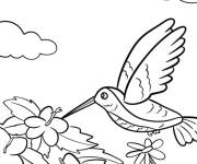 Coloriage Colibri de dessin anim&eacute; volant