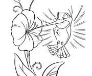 Coloriage Colibri de Disney