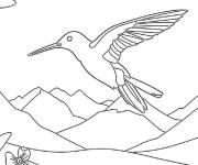 Coloriage Colibri de pointe facile