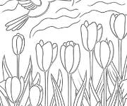 Coloriage Colibri de printemps