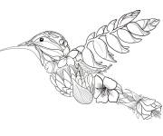 Coloriage Colibri d&eacute;cor&eacute; en feuilles