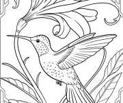 Coloriage Colibri d&eacute;ployant ses ailes &agrave; c&ocirc;t&eacute; d'une fleur
