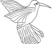 Coloriage Colibri dessin&eacute; &agrave; la main