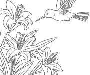 Coloriage Colibri &eacute;l&eacute;gant sur une grosse fleur