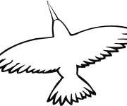 Coloriage Colibri en contour &agrave; colori