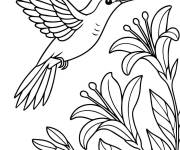 Coloriage Colibri en couleur
