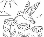 Coloriage Colibri en couleurs rouge et vert