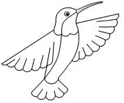 Coloriage et dessins gratuit Colibri en fond blanc à imprimer
