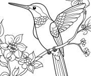 Coloriage Colibri en mod&egrave;le fleuri