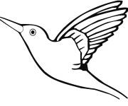 Coloriage Colibri en noir en vol