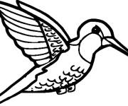 Coloriage Colibri en noir gras