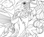 Coloriage Colibri en portrait magnifique