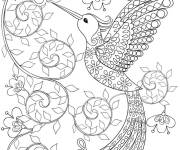 Coloriage Colibri en style anti-stress