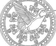 Coloriage Colibri en style sym&eacute;trique