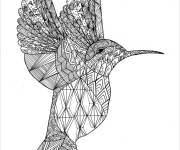Coloriage Colibri en trait complexe