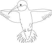 Coloriage Colibri en volant