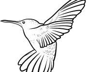 Coloriage Colibri en volant avec des ailes si puissantes