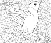 Coloriage colibri et fleurs anti-stress