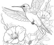 Coloriage Colibri et fleurs en vecteur