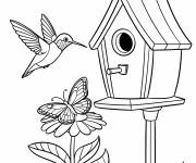 Coloriage Colibri et le papillon devant la cabane