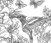 Coloriage Colibri et papillons en ligne