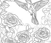Coloriage Colibri et rose gratuit