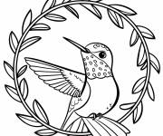 Coloriage Colibri et un cadre de feuille