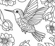 Coloriage Colibri et une collection des belles fleurs