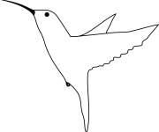 Coloriage Colibri facile