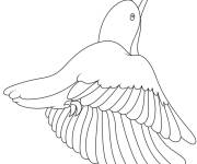 Coloriage Colibri fantastique
