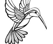 Coloriage colibri GS