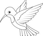 Coloriage Colibri mignon